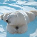 hylero__o_7h2rn's profile picture. 