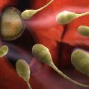 hulesr__LgWHvad's profile picture. 