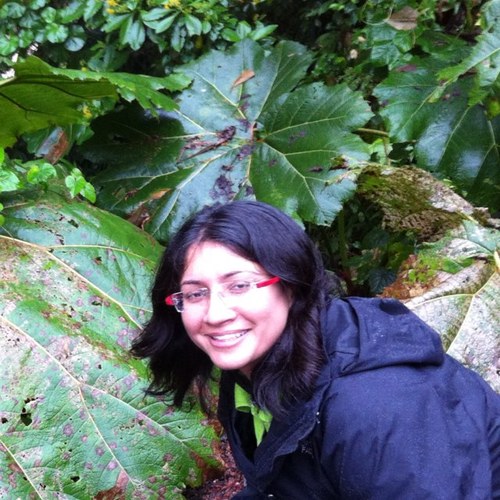 Paramount Employee Teerna Khurana's profile photo