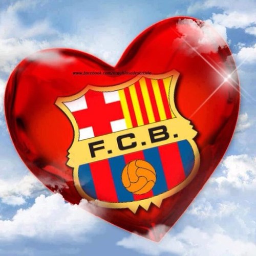 josemmurcia's profile picture. 