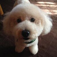 yoke (@yoke4000) Twitter profile photo