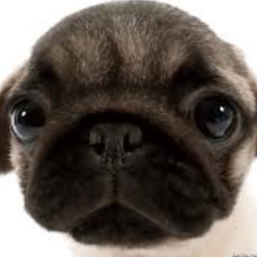 FAG2013's profile picture. FunnyAccounting/監査法人就職支援コミュニティ//只今、休業中。。参加条件●他のメンバーを尊重すること●他のメンバーの質問に真摯に答えること●疑問は臆せず何でも質問すること