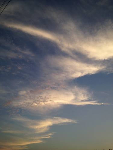 gekorin's profile picture. 好きなこと気ままに気の向くままに。