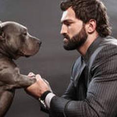 uphenpaucal's profile picture. 