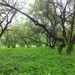 majan_alkharous's profile picture. بكالوريوس علوم حاسب آلي