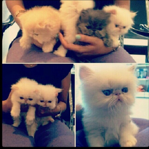 Tayoooba_ale's profile picture. 