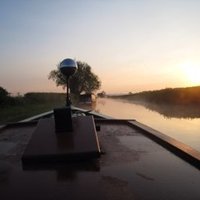 jane oliver (@nbalnwick) 's Twitter Profile