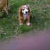 Lenin Vivas (@leninadolfo) Twitter profile photo Lenin Vivas (@leninadolfo) Twitter profile photo