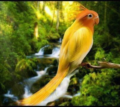 ‏‏اعشق الحريه