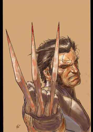 The original X-Man. Mess with me and I'll shred you, ok bub. #RP. 18+