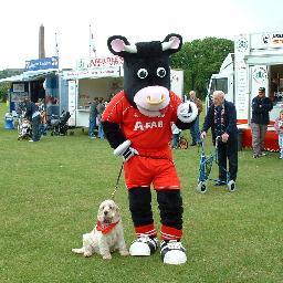 StottJa's profile picture. Dog lover and life-long Aberdeen Football Club fan. Worked at local newspaper most of my adult life - now retired.