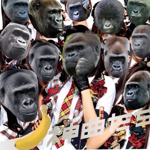 DNK26_bot's profile picture. 某秋葉原アイドルを超絶リスペクトしたゴリラ達によるアイドルグループ。 飼育番号A〜Zのレギュラーメンバーと研究生によって構成されてゥホォオオオォォオオオオオオ