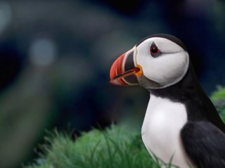 gzeric2000's profile picture. 