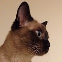 Russell Kellogg - @RJKellogg - Twitter