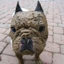 Daniel Williamson - @williad1 - Twitter