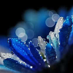 hafsainam's profile picture. 