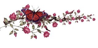 sdxc5678's profile picture. 