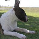 Donna Angel - @lakescreekroad - Twitter