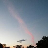 Tazz1970 (@richardmichaud4) 's Twitter Profile