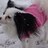 lindblom_loree's profile image