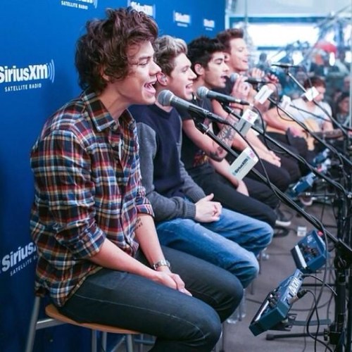 PerfectFans1D's profile picture. .