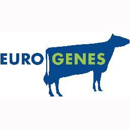 Eurogenes1's profile picture. Online breedersplatform (http://t.co/RpA4UiYe) with the latest Holstein breeding news, online embryo- and heifer sales and more!