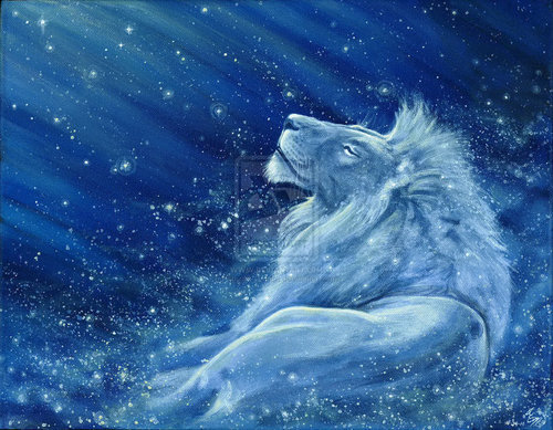 toddhill17's profile picture. Loves the Saskatchewan Rough Riders