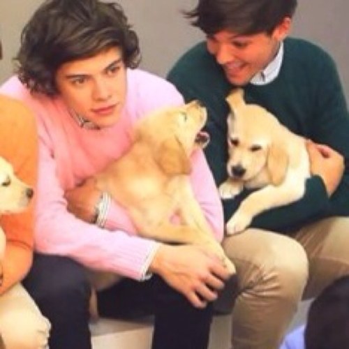 One Direction
Follow me I'll follow back.