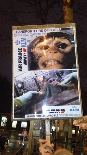 Gateway to Hell is an international campaign which aims to stop the supply of animals to laboratories by focusing on the transporters! http://t.co/0ZJSmoVr