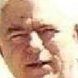 greenthumbfun's profile picture. Grandfather of 7, married for 38 years as of June 8th, 2012, 65 years young, like organic gardening, online poker, reading, blogging, internet marketing.