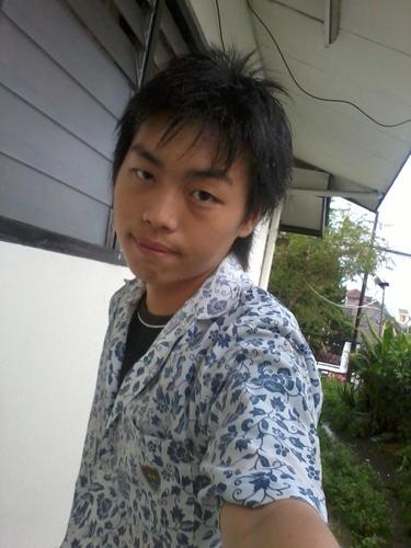 HikariShin's profile picture. 