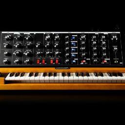 balancemk's profile picture. 