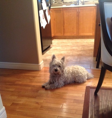 kwinnw's profile picture. 