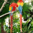 Kelly Bisbee - @smarteiesmy16 - Twitter