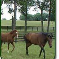 Clifford Nahm (@ccnahm) 's Twitter Profile