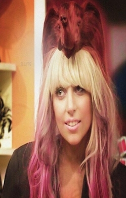 Holaa soy genesis, y soy Little Monster de corazon.. amo a Lady Gaga mas que cualquier persona, ah si me sigues te sigo :)