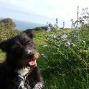 adrian hodgson - @adrian0369 - Twitter