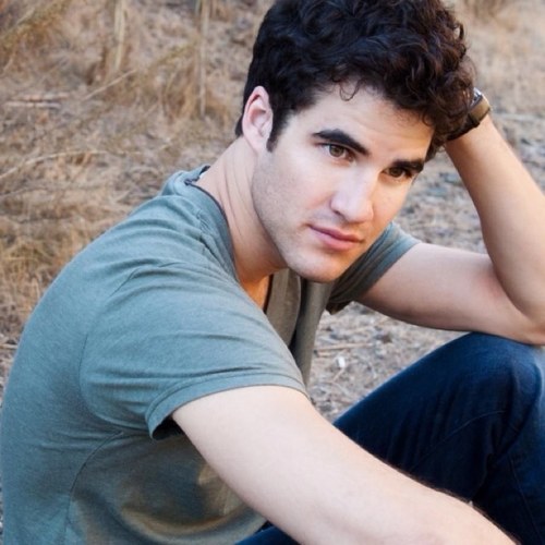 Blaine Anderson, previous warbler, former new direction member. ||Free RP||
