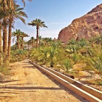عملا - عبري (@amla_ibri_oman) 's Twitter Profile