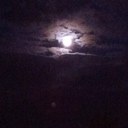 mark winfield - @Mark1Winfield - Twitter