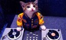 venez sur: http://t.co/Bh7DgYU8 cmon blog il a de la bonne musique