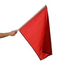 A flag that disappoints with personality! Follow me #NASCAR #MDA #Livingtheamericandream and get to know who I am on IG @LIVLAFLUV