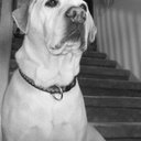 Greg Link - @13Glink - Twitter