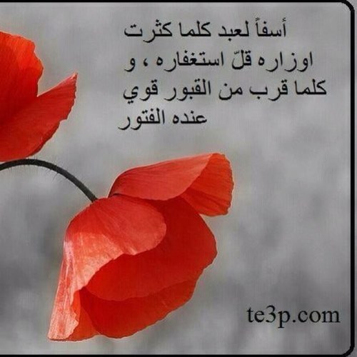 اللهم ارحم في الدنيا غربتنا وفي القبور وحشتنا ويوم العرض عليك ذل وقوفنا،اللهم قابل اساءتنا باحسانك وتقصيرنا بعفوك،اللهم اختم بالصالحات اعمالنا وبالسعادة آجالنا.