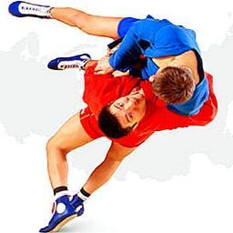 akhlybov's profile picture. MMA