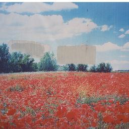 Picture