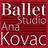 Profile Picture of Ballet Ana Kovac (@@AnaKovacStudio) on Twitter