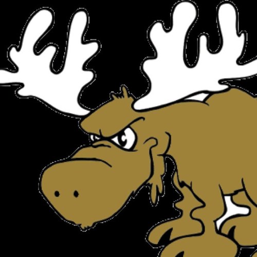 Canadian moose with a bad attitude. 
Everything moose - everytime.