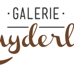 't Zuyderlicht is a dynamic environment where you can enjoy a wide variety of artworks with diverse variety of styles. Art is an impression of an expression