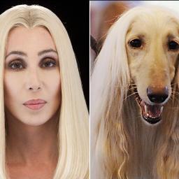 Tweeting (the funniest) look alikes!